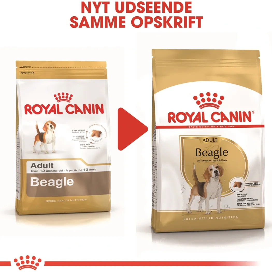 Royal Canin Beagle Adult 12 kg - tørfoder til voksne hunde