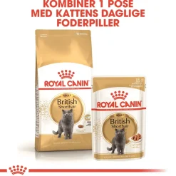 Royal Canin British shorthair 10 kg