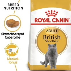 Royal Canin British shorthair 10 kg