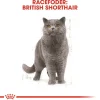 Royal Canin British shorthair 400 gram