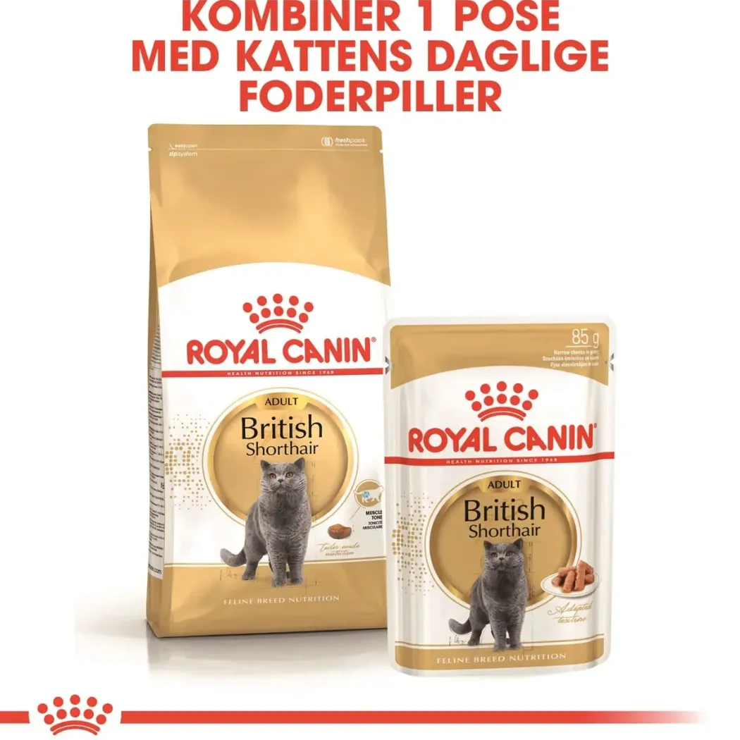 Royal Canin British shorthair 400 gram