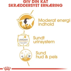 Royal Canin British shorthair Sovs - vådfoder 85 g