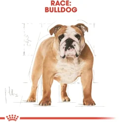 Royal Canin Bulldog Adult 12 kg - tørfoder til voksne hunde
