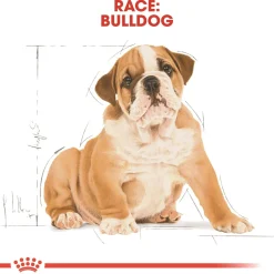 Royal Canin Bulldog Puppy 12 kg - tørfoder til hvalpe