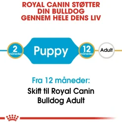 Royal Canin Bulldog Puppy 12 kg - tørfoder til hvalpe