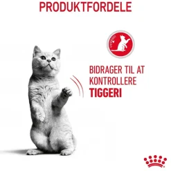 Royal Canin Care Appetite Control 400 gram