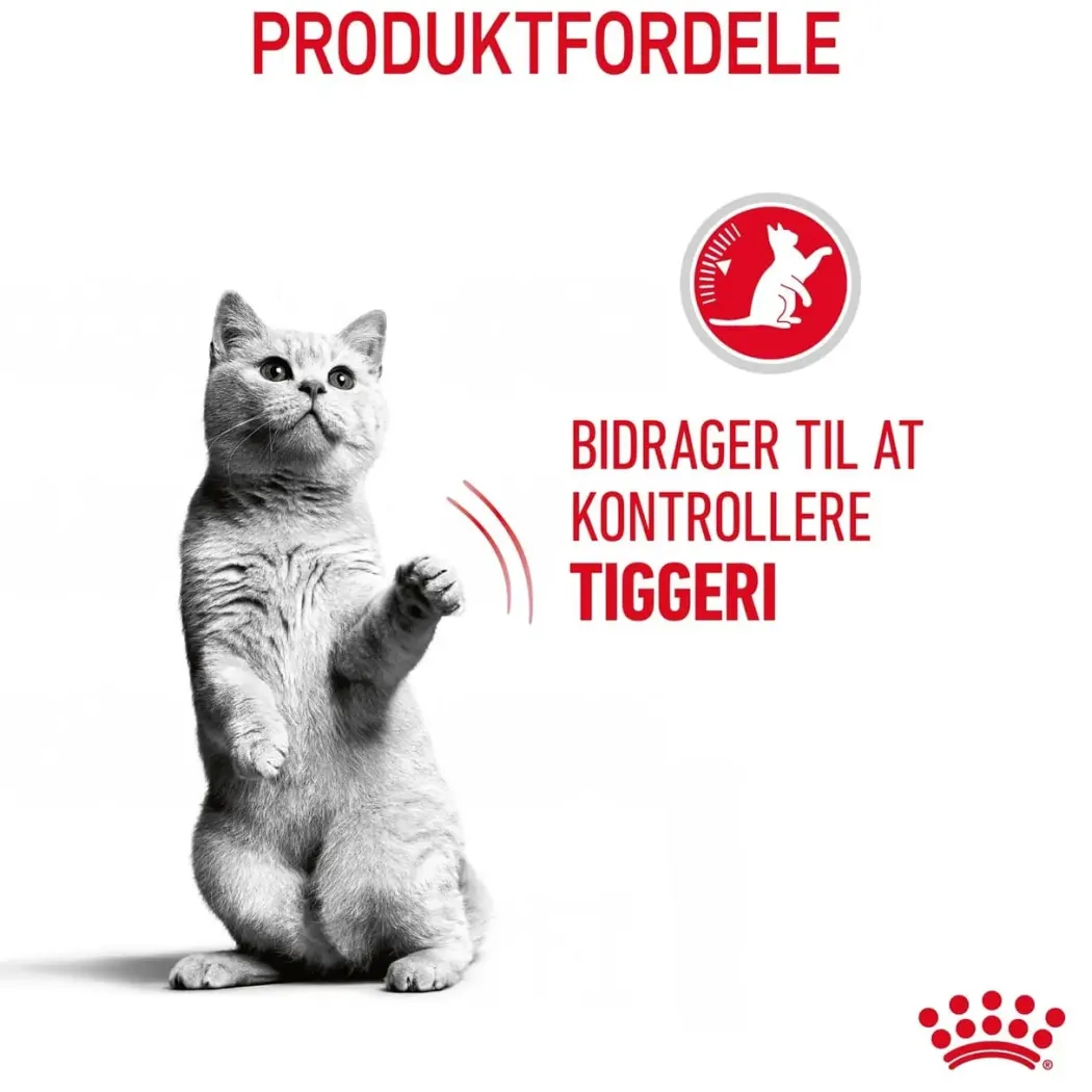 Royal Canin Care Appetite Control 3,5 kg