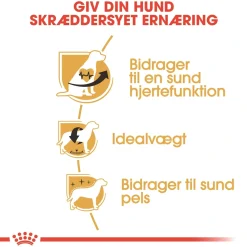 Royal Canin Cavalier King Charles Adult 1,5 kg - tørfoder til små hunde