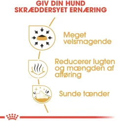 Royal Canin Chihuahua Adult 3 kg - tørfoder til små hunde