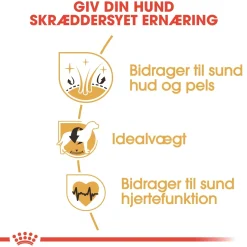 Royal Canin Cocker Spaniel Adult 3 kg - tørfoder til voksne hunde