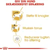 Royal Canin Dachshund Adult 7,5 kg - tørfoder til gravhunde
