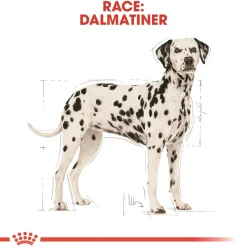 Royal Canin Dalmatian Adult 12 kg - tørfoder til voksne hunde