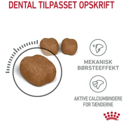 Royal Canin Dental Care 3,5 kg