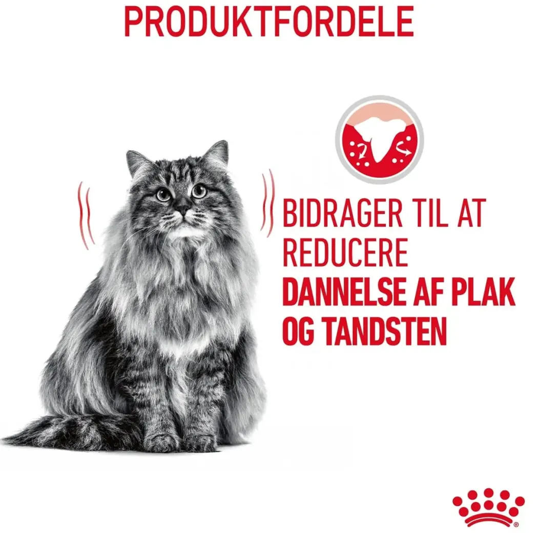 Royal Canin Dental Care 8 kg