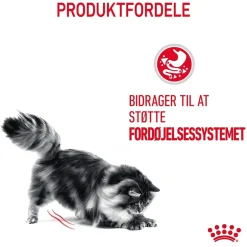 Royal Canin Digestive Care 10 kg