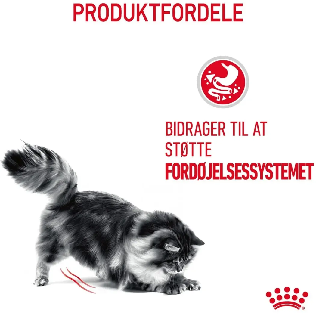 Royal Canin Digestive Care 10 kg