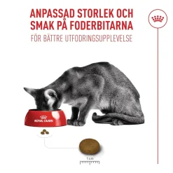 Royal Canin Exigent FHN Fussy 2 kg