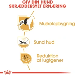 Royal Canin French Bulldog Adult 9 kg - tørfoder til voksne hunde