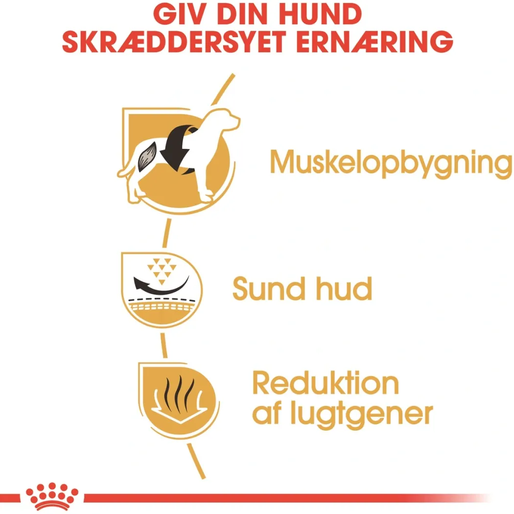 Royal Canin French Bulldog Adult 9 kg - tørfoder til voksne hunde
