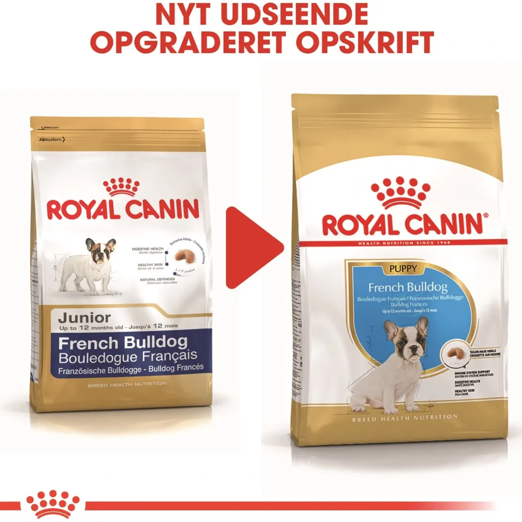 Royal Canin French Bulldog Puppy 10 kg - tørfoder til hvalpe