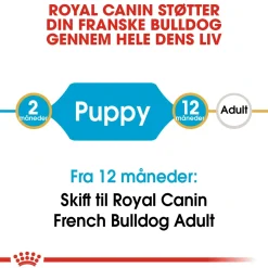 Royal Canin French Bulldog Puppy 10 kg - tørfoder til hvalpe