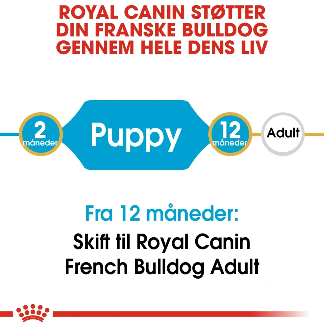 Royal Canin French Bulldog Puppy 10 kg - tørfoder til hvalpe