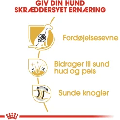 Royal Canin German Shepherd Adult 11 kg - tørfoder til voksne hunde