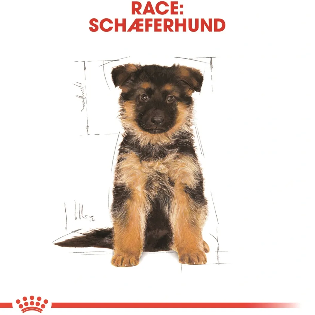Royal Canin German Shepherd Puppy 12 kg - tørfoder til hvalpe