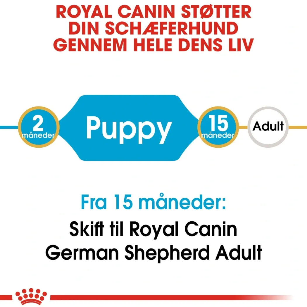 Royal Canin German Shepherd Puppy 12 kg - tørfoder til hvalpe
