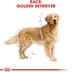 Royal Canin Golden Retriever Adult 12 kg - tørfoder til voksne hunde