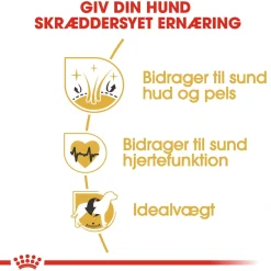 Royal Canin Golden Retriever Adult 12 kg - tørfoder til voksne hunde