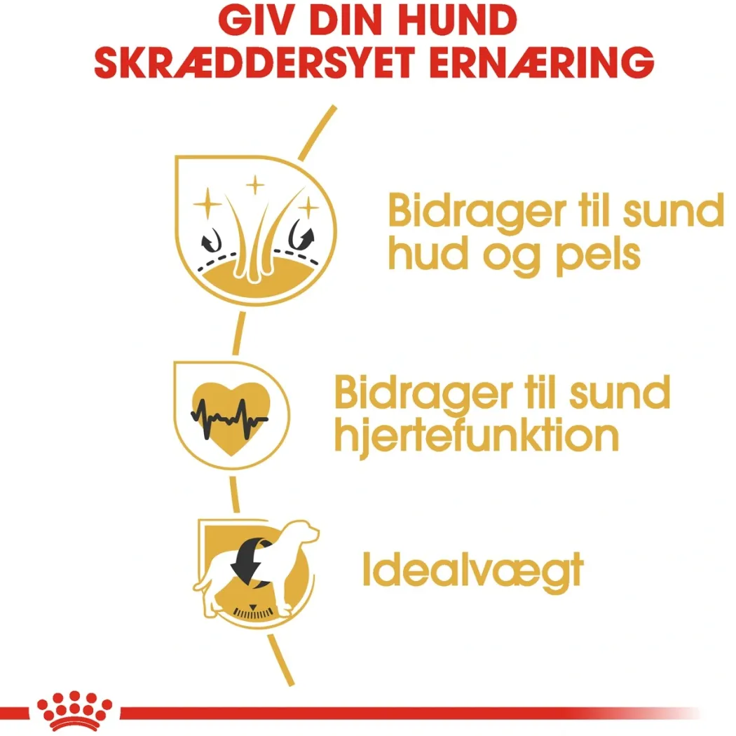 Royal Canin Golden Retriever Adult 12 kg - tørfoder til voksne hunde