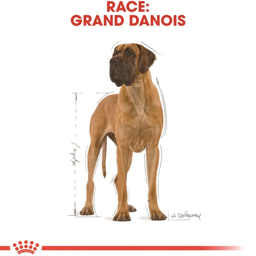 Royal Canin Great Dane Adult 12 kg - tørfoder til voksne hunde