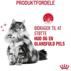 Royal Canin Hair and Skin 2 kg