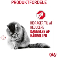 Royal Canin Hairball Care 10 kg
