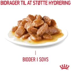 Royal Canin Hairball Care Sovs - vådfoder 85 g