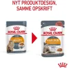 Royal Canin Hair & Skin Sovs - vådfoder 85 g