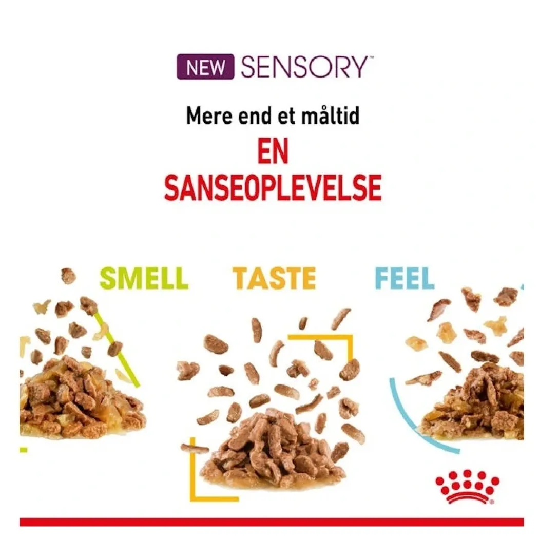 Royal Canin Kattevådmad Sensory Smell Sovs Adult