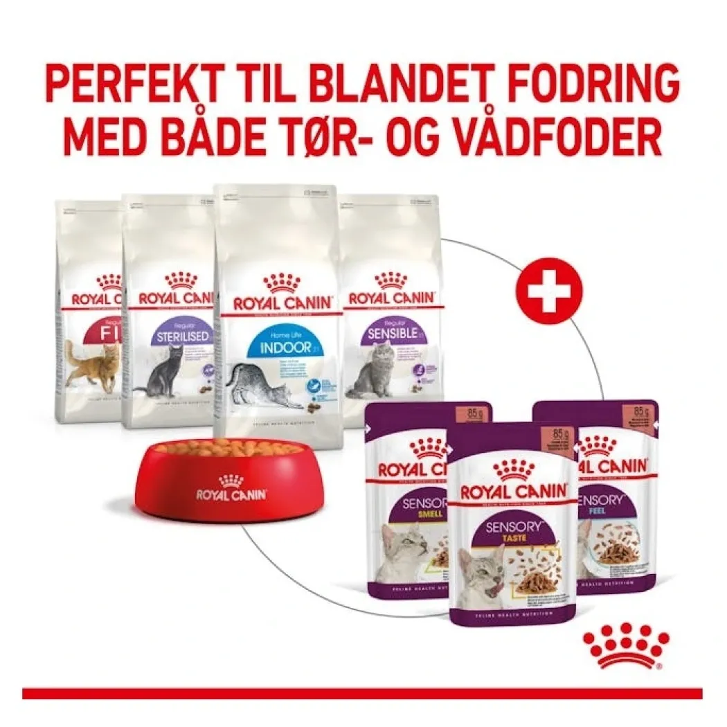 Royal Canin Kattevådmad Sensory Smell Sovs Adult