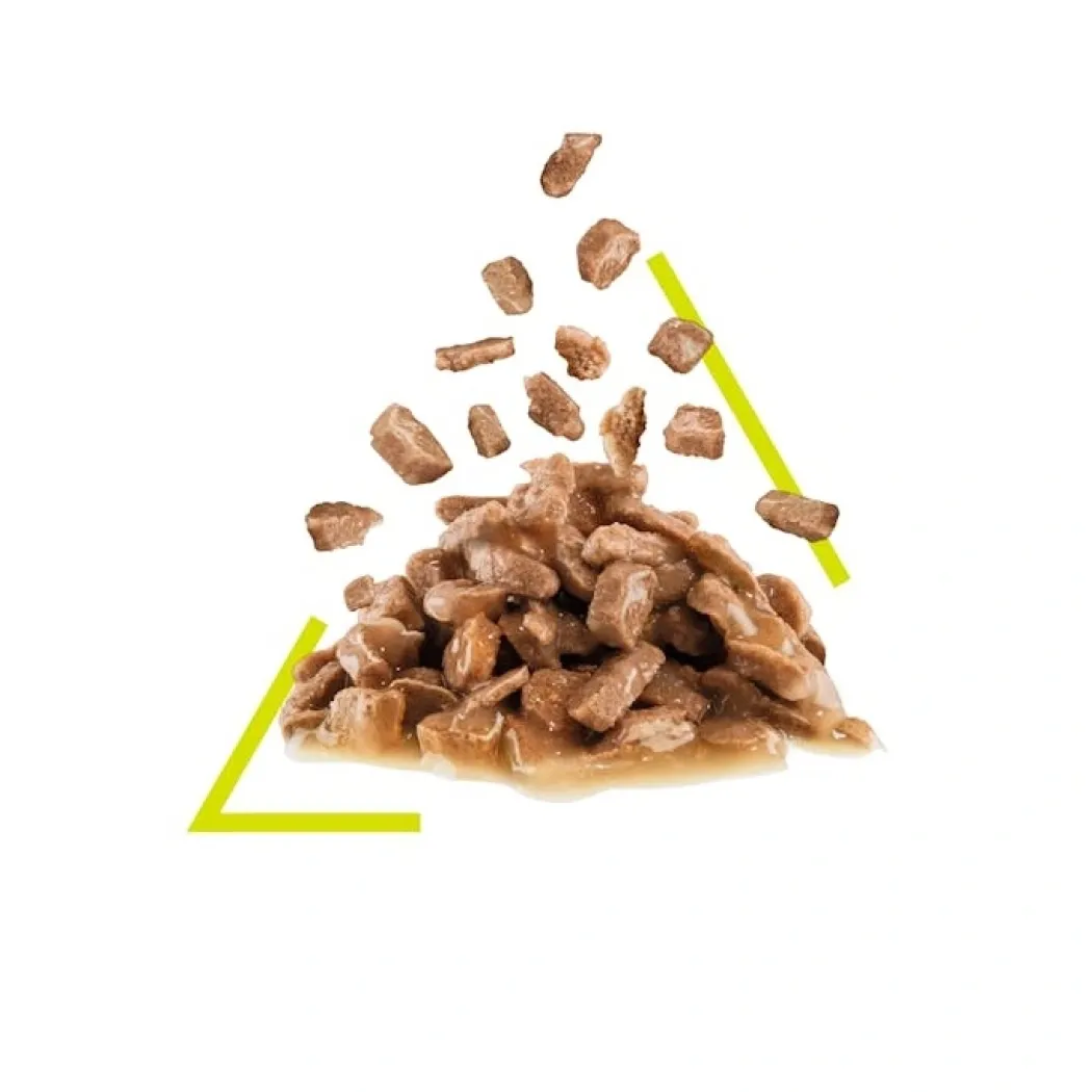 Royal Canin Kattevådmad Sensory Smell Sovs Adult