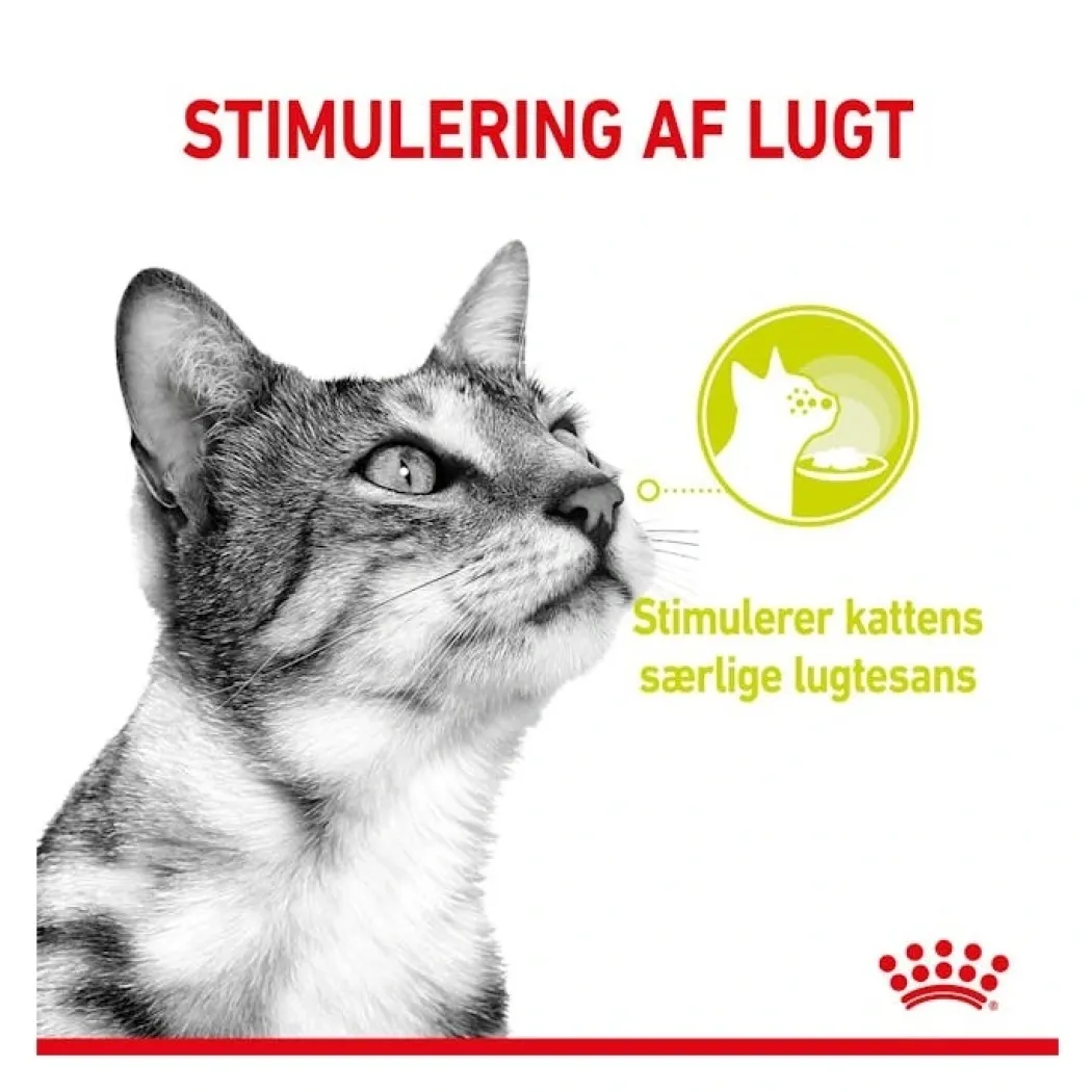 Royal Canin Kattevådmad Sensory Smell Sovs Adult
