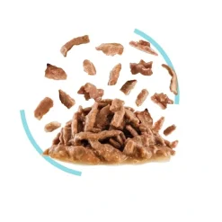 Royal Canin Kattevådmad Sensory Feel Sovs Adult