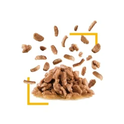 Royal Canin Kattevådmad Sensory Taste Sovs Adult