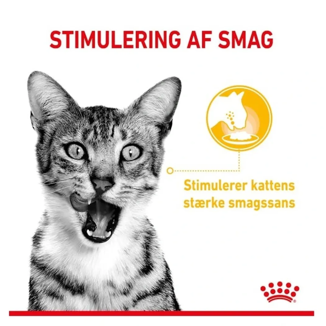 Royal Canin Kattevådmad Sensory Taste Sovs Adult