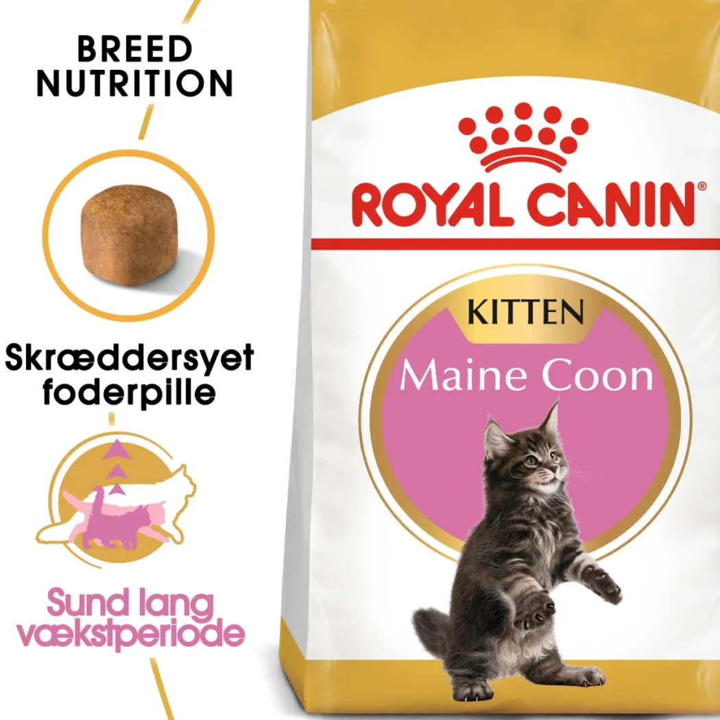 Royal Canin Kitten Maine Coon 4 kg