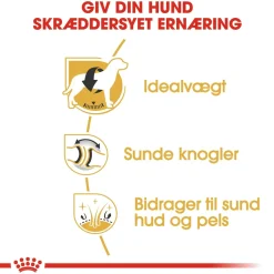 Royal Canin Labrador Retriever Adult 12 kg - tørfoder til voksne hunde