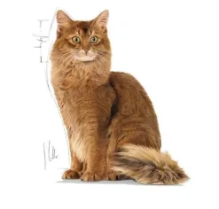 Royal Canin Light Weight Jelly vådfoder 85 g