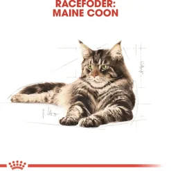 Royal Canin Maine Coon 2 kg
