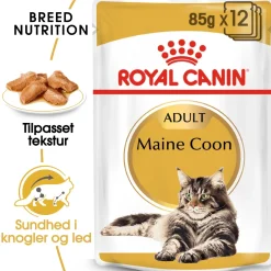Royal Canin Maine coon Sovs - vådfoder 85 g