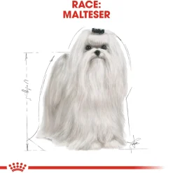Royal Canin Maltese Adult 1,5 kg - tørfoder til maltesere